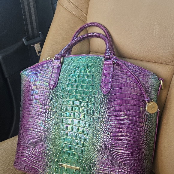 Brahmin - Picture 5 of 5